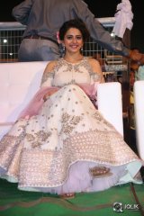 Sarrainodu Movie Audio Celebrations